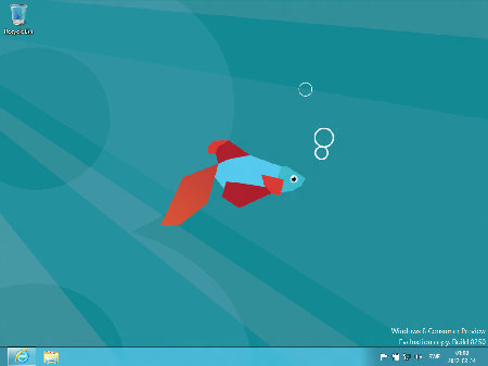 Windows 8