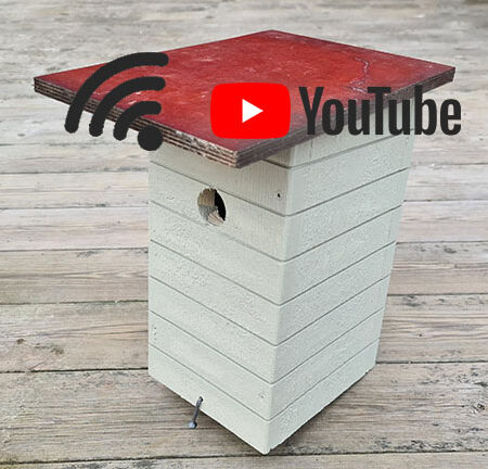 YouTubeHolk