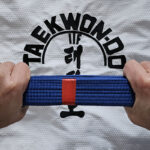 Taekwondo Kup 3